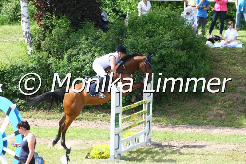 204M6415_Apollo_Spring Mx.JPG